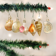 Load image into Gallery viewer, Assorted Sea Shell Set Ornament
