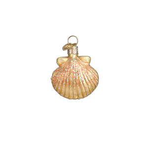 Assorted Sea Shell Set Ornament